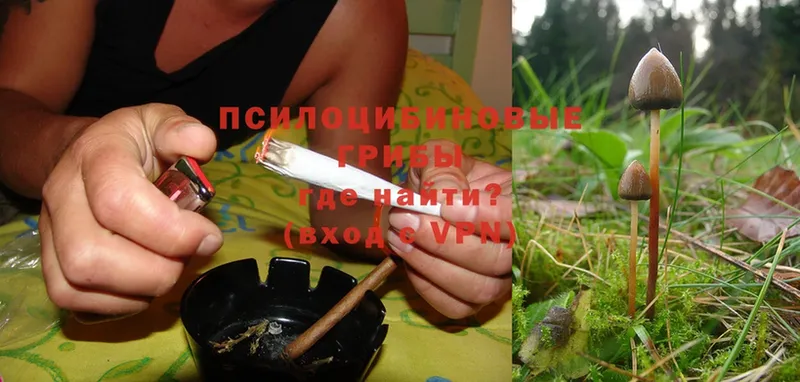 Псилоцибиновые грибы MAGIC MUSHROOMS  где купить наркоту  Верхнеуральск 